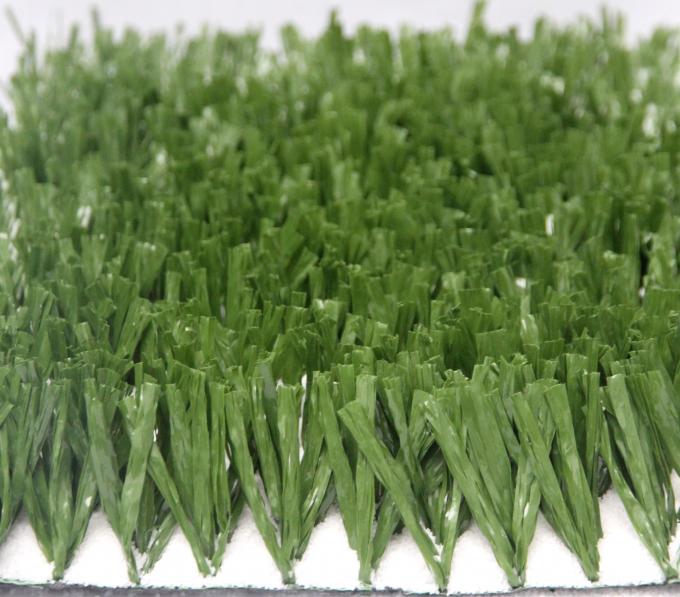 Sân cỏ nhân tạo bóng đá xanh cao cấp AVG, Thảm cỏ tổng hợp bóng đá 1