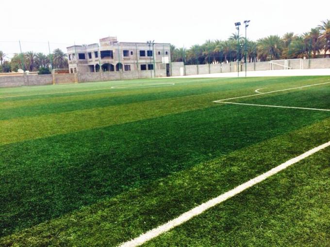 tin tức mới nhất của công ty về Sân bóng đá Đại học Sư phạm Nội Mông  0
