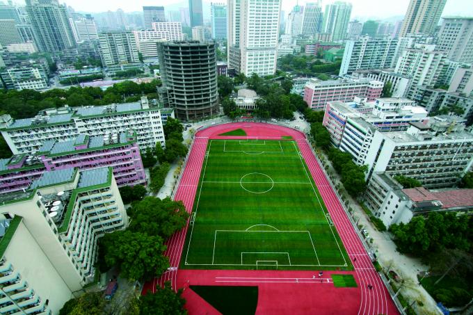 tin tức mới nhất của công ty về Sân bóng đá Đại học Sư phạm Nội Mông  2