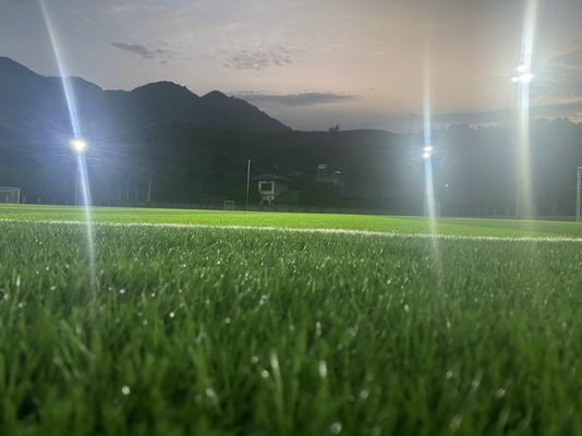 TRUNG QUỐC Chiều cao 55mm Cỏ nhân tạo Sân bóng đá Cỏ tổng hợp Chống mài mòn nhà cung cấp