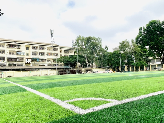 TRUNG QUỐC Cỏ nhân tạo Cesped 65mm Sân bóng đá Tổng hợp Sân bóng đá Tổng hợp Thảm cỏ nhà cung cấp