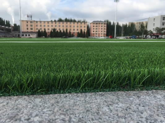TRUNG QUỐC Vải dệt sao lưu Sân bóng đá Cỏ có lợi cho sân bóng đá nhà cung cấp