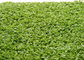 Monofil PE Sợi khúc côn cầu Thảm cỏ giả trang trí 220 s / m Stitch 6600 Dtex nhà cung cấp