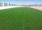Sân cỏ tổng hợp trong nhà tùy chỉnh chuyên nghiệp Chiều cao 35MM nhà cung cấp