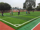 Sân chơi Cỏ giả bền Bền bóng đá Tổng hợp Thân thiện với môi trường nhà cung cấp