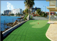 Sân cỏ Hiển thị Sân golf Tùy chỉnh Cỏ nhân tạo Sân cỏ giả Thân thiện với môi trường nhà cung cấp