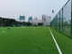AVG 60mm Bóng đá bóng đá Cỏ nhân tạo Futsal Gazon Synthetique Giá bán buôn nhà cung cấp