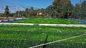 Cỏ nhân tạo 50mm màu xanh lá cây chống Uv cho sân bóng đá nhà cung cấp