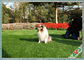 Thảm cỏ nhân tạo ngoài trời bền màu xanh lá cây cho thú cưng Thảm cỏ tổng hợp cho cảnh quan nhà cung cấp