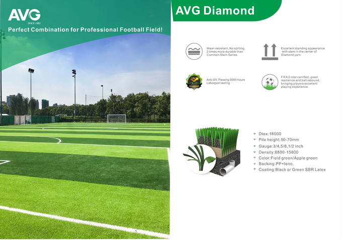 Cỏ bóng đá FIFA Cỏ tổng hợp Sân cỏ tổng hợp cho bóng đá Chiều cao cọc 50mm 0