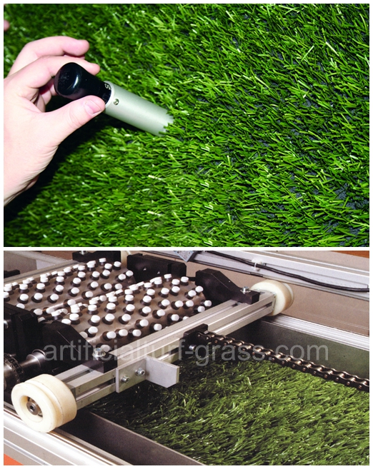 All Victory Grass (Guangzhou) Co., Ltd kiểm soát chất lượng 0