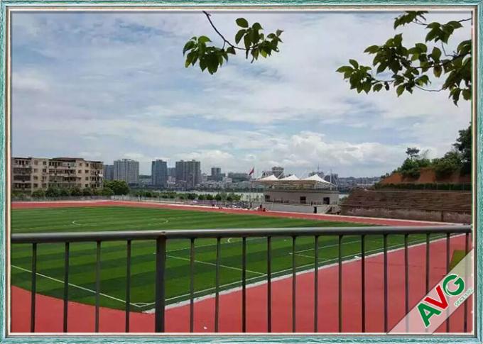 Hình thức tự nhiên Sân bóng đá nhân tạo / Thảm cỏ tổng hợp cho bóng đá 0