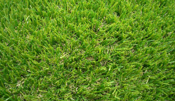 tin tức mới nhất của công ty về So sánh giữa cỏ bóng đá tổng hợp và cỏ thật  2