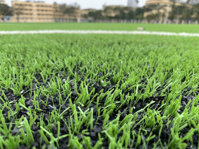 Thảm cỏ AVG 60mm dành cho sân bóng đá ngoài trời của nhà máy 0