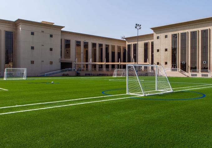 Sân cỏ nhân tạo giả 35mm cho sân chơi bóng đá bóng đá 1