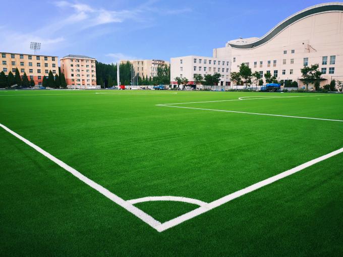 Bóng đá cỏ nhân tạo cho bóng đá bóng đá cỏ bóng đá 0