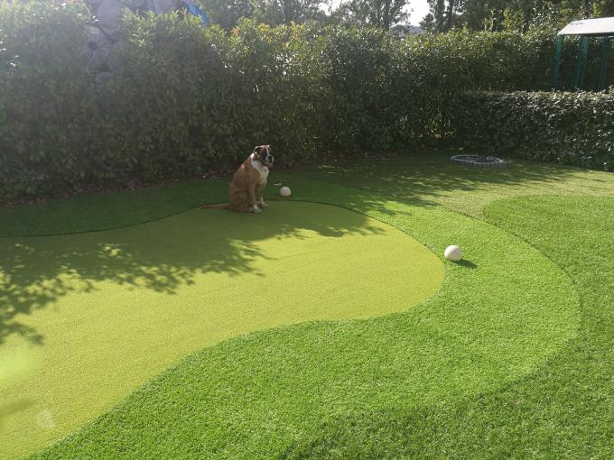 Tổng hợp Putting Green Golf Turf Grass Gateball Nhân tạo Chiều cao 13m 0