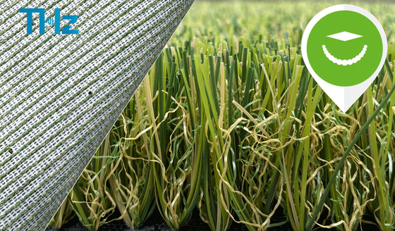 TRUNG QUỐC Màu xanh lá cây Màu xanh lá cây cỏ nhựa trong nhà Sân vườn cỏ nhân tạo tổng hợp Thảm cỏ THZ Backking nhà cung cấp