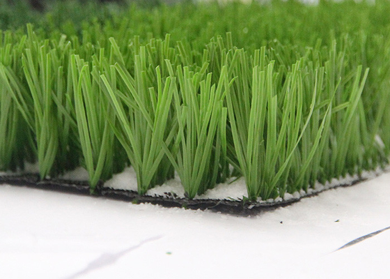 TRUNG QUỐC Monofil PE Sợi xanh Nhà sản xuất cỏ nhân tạo cho thể thao, sân bóng đá Cỏ nhân tạo nhà cung cấp
