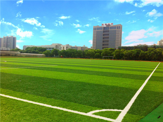 TRUNG QUỐC Sân chơi chuyên nghiệp Cỏ tổng hợp, Sân chơi cỏ tổng hợp Tiêu chuẩn FIFA nhà cung cấp