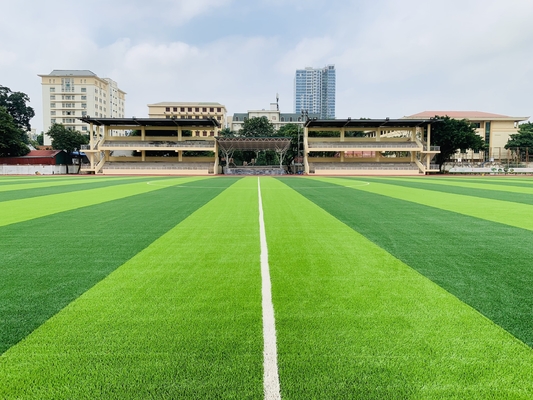 TRUNG QUỐC Sàn thể thao cỏ nhân tạo 55mm cho sân bóng đá nhà cung cấp