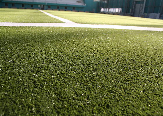 TRUNG QUỐC Curly Sàn thể thao Khúc côn cầu có màu Cỏ nhân tạo Thảm cỏ giả nhà cung cấp