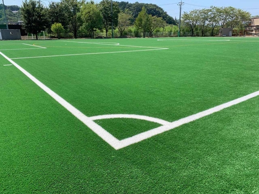 TRUNG QUỐC Tấm thảm cỏ bóng đá cỏ nhân tạo đã được FIFA phê duyệt nhà cung cấp