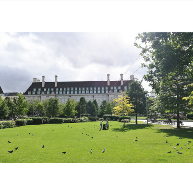 TRUNG QUỐC Sân vườn có mật độ cao Cỏ nhân tạo cho cỏ tổng hợp Chống tia cực tím nhà cung cấp