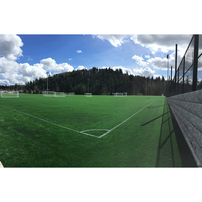 TRUNG QUỐC Thảm cỏ ngoài trời 8500 Dtex Chiều rộng 2m / 4m PP + Lưới hỗ trợ bóng đá Cỏ nhân tạo nhà cung cấp