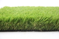 Dây cong Cỏ nhân tạo vườn nhà 60mm cho sân cỏ Greenfields nhà cung cấp