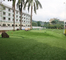 Thảm cỏ giả sân vườn SGS Màu xanh lá cây 60mm Sân vườn Sân vườn Sàn nhà cung cấp