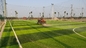 Cỏ nhân tạo Sân bóng đá Cỏ nhân tạo Thảm cỏ nhân tạo ngoài trời 50mm nhà cung cấp