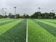 Sân bóng đá FIFA Cỏ 40mm Sân bóng đá Cỏ nhân tạo Bóng đá nhà cung cấp