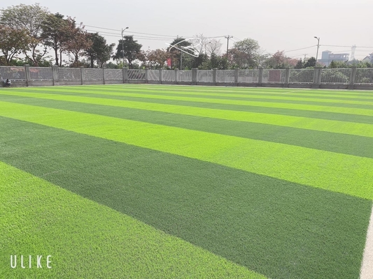 Tender Green Football Sân cỏ nhân tạo Chiều cao 55m Gia cố bằng kim cương độc đáo nhà cung cấp