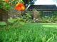 Cỏ nhân tạo sân vườn có thể tái chế xanh để trang trí, cỏ nhân tạo trong nhà nhà cung cấp