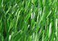 Sân vườn bằng kim loại miễn phí Thảm cỏ nhân tạo chống tia cực tím Thân thiện với môi trường nhà cung cấp