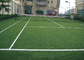 Cỏ tổng hợp quần vợt đứng thẳng, cỏ nhân tạo sân tennis nhà cung cấp