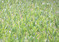 Thảm cỏ nhân tạo xanh chống cháy Sân vườn 15mm - Chiều cao 60mm nhà cung cấp