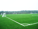 Cảnh quan sân bóng đá Sân cỏ nhân tạo Cỏ giả SGF Chứng nhận ISO9001 nhà cung cấp