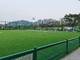 Sân bóng đá tổng hợp 70mm Cỏ nhân tạo &amp; Sàn thể thao nhà cung cấp