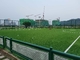 Cỏ nhân tạo bóng đá &amp; sàn thể thao cho sân bóng đá Giá bán buôn nhà cung cấp