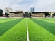 Sàn thể thao cỏ nhân tạo 55mm cho sân bóng đá nhà cung cấp