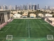 Nhà máy cỏ nhân tạo đã phê duyệt cỏ nhân tạo 30mm cho sân vận động bóng đá nhà cung cấp