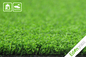 Thảm cỏ tổng hợp giả nhân tạo cho sân tennis Padel nhà cung cấp