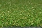 Thảm chơi gôn Thảm cỏ nhân tạo 13mm cho nhiều mục đích sử dụng Cỏ nhân tạo cỏ sân gôn nhà cung cấp