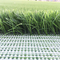 Cỏ dệt phổ biến Cỏ nhân tạo Sân bóng đá Thảm cỏ tổng hợp nhà cung cấp