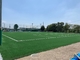 Sân bóng đá Sân bóng đá Sân bóng đá Sân cỏ nhân tạo Giá thảm sân bóng đá nhà cung cấp