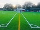 Sân bóng đá nhân tạo Sân bóng đá Sân cỏ thể thao 40-60mm nhà cung cấp