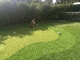 Tổng hợp Putting Green Golf Turf Grass Gateball Nhân tạo Chiều cao 13m nhà cung cấp