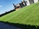 Thảm cỏ nhân tạo 20-50mm Thảm cỏ giả cỏ ngoài trời Thảm xanh nhà cung cấp